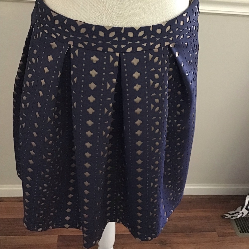 Medium Blue Rain Blue and Nude Overlay Skirt